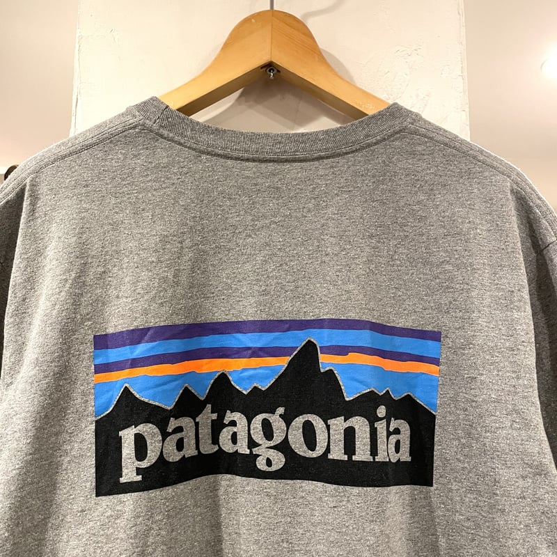 patagonia パタゴニア ロゴ レスポンシビリプリント TシャツXL