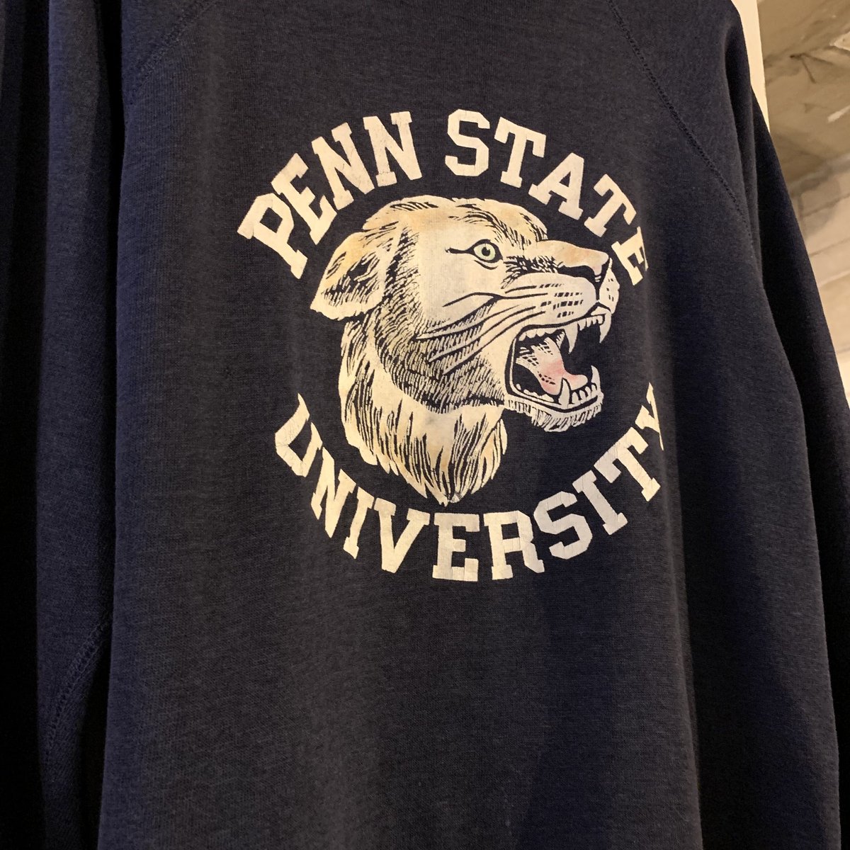 80s L/S Vintage Sweat カラーフロッキー PENN STATE UNIVE