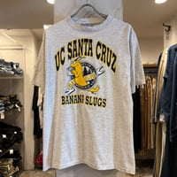 90s　All Sport　S/S Tシャツ　UC SANTA CRUZ　USA製　Size L　カレッジT　パルプフィクション　(S5663)