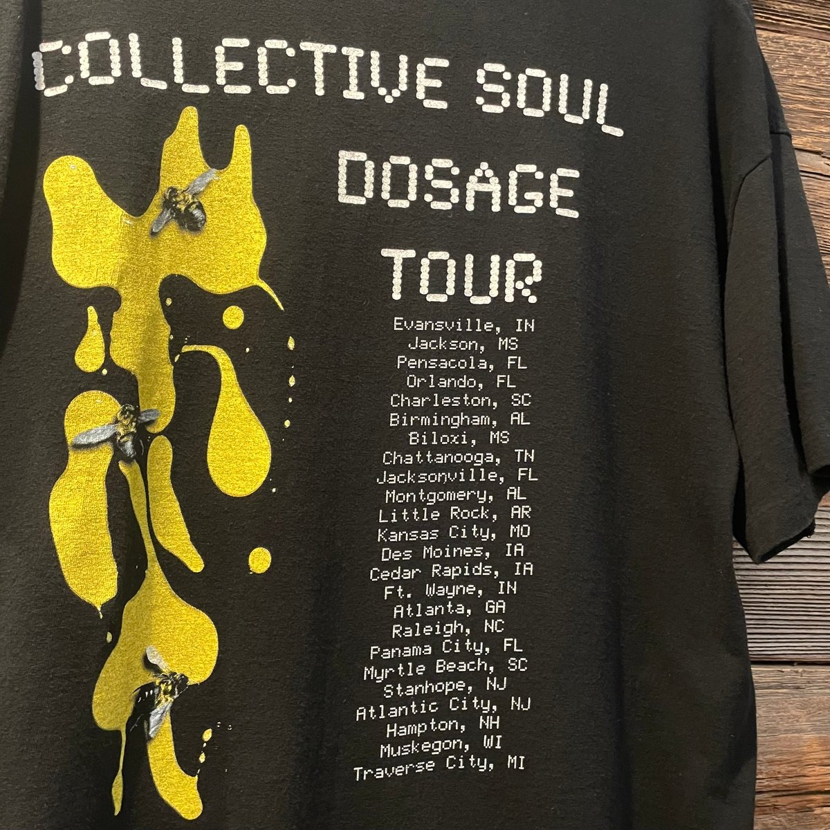 90s anvil S/S バンドTシャツ COLLECTIVE SOUL Size XL コ