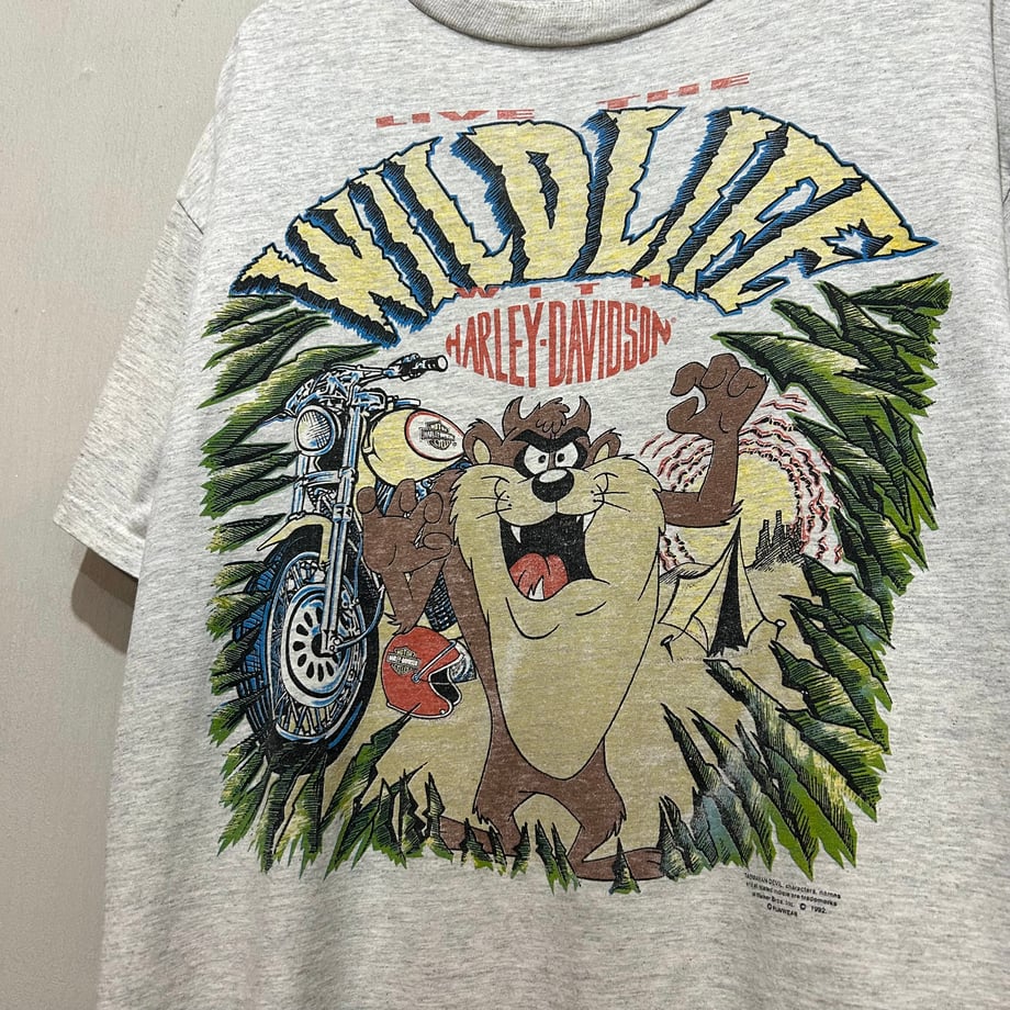 6a420155e8093e574be7afd7