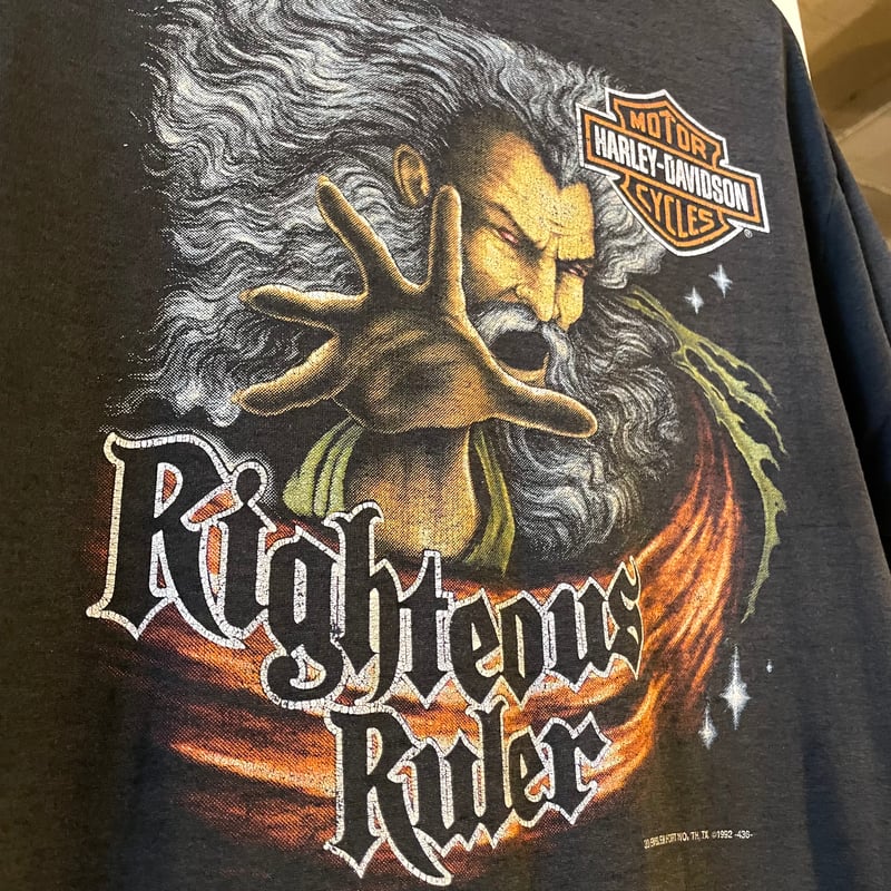 David Lindley Tシャツ 1992年 Ry Cooder-David Lindley Family Live Japan '95 T-Shirt/Dead
