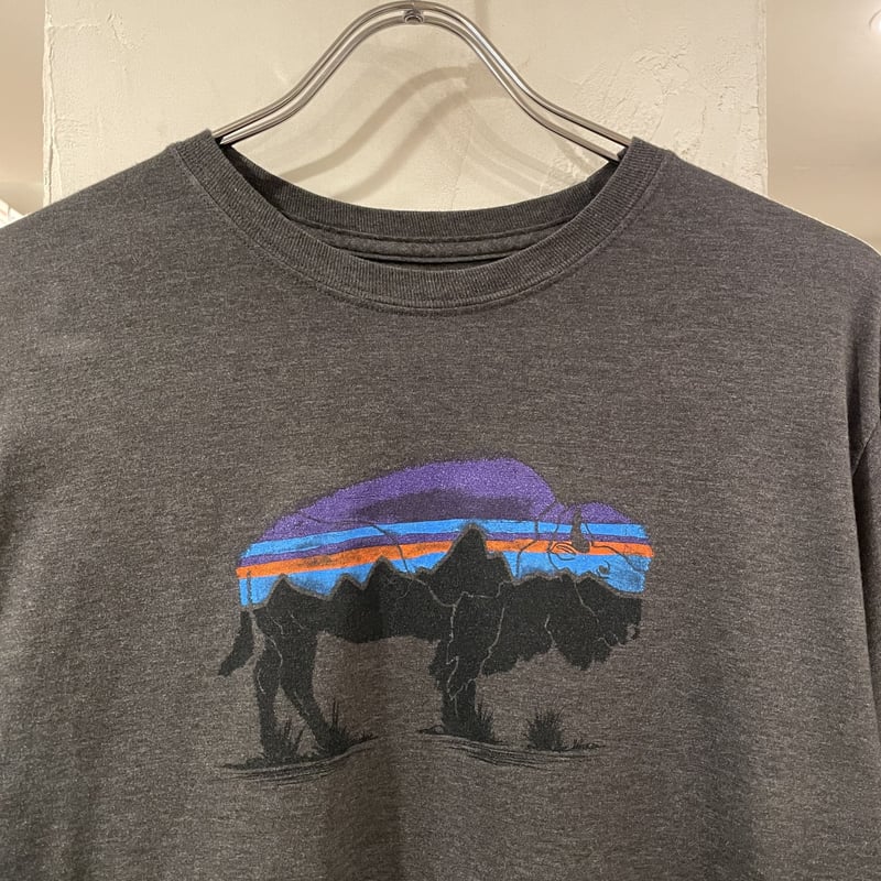 patagonia Fitz Roy Bison Long Sleeve Tee フィッツロイ patagonia Fitz Roy Bison Long Sleeve Tee フィッツロイ