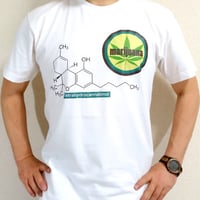 【超ディープ！ディープ過ぎるかも…】マリファナＴシャツマリファナＴシャツ★大麻、ガンジャ【サイズ：S 、M 、L 、XL 】【５０００円以上で】送料無料　Ｔシャツ　メンズ　大きいサイズ　半袖　プリント
