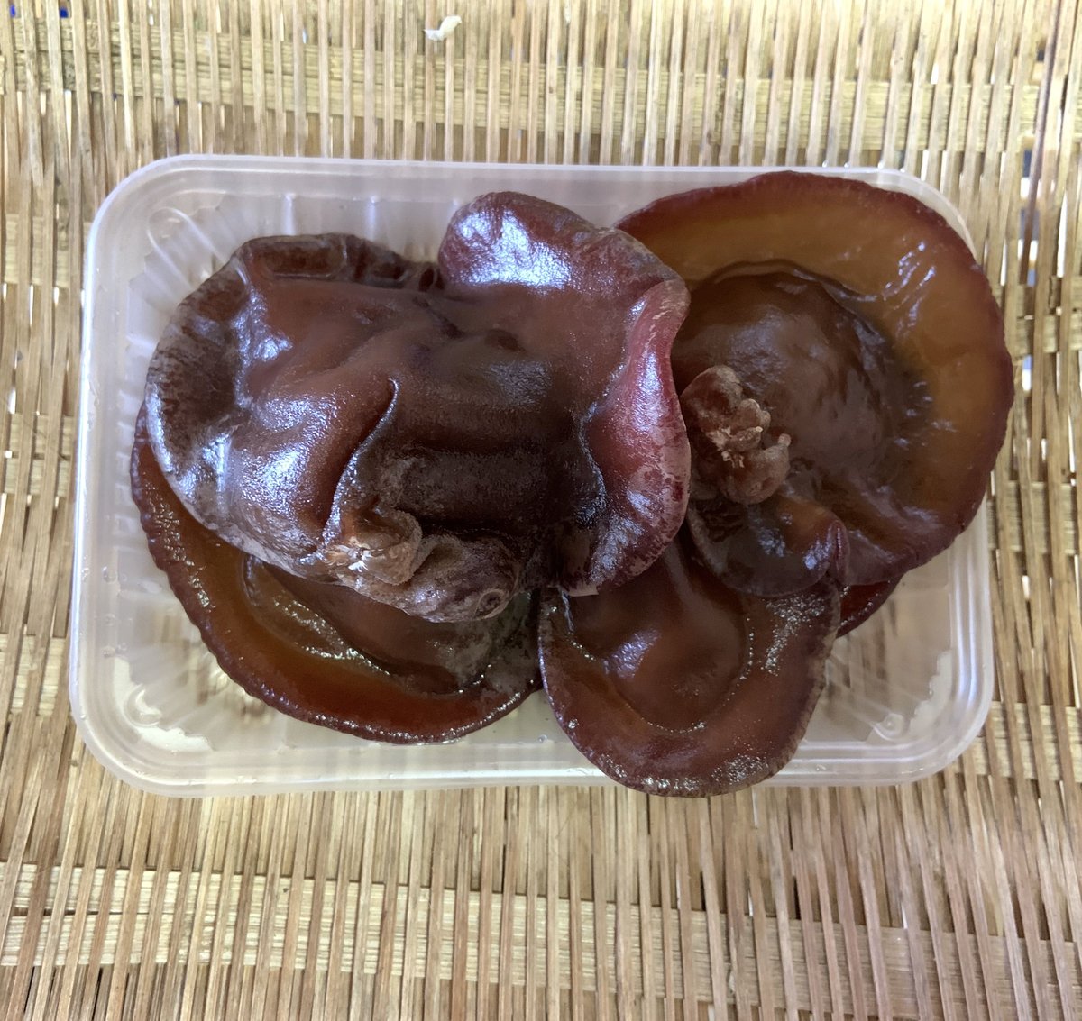 山口県光市産  生きくらげ  80g x 20個 山口県光市産 生きくらげ 80g x 20個 山口県光市産