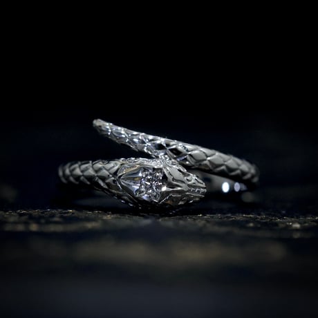 Zoé Étoile 〈K18YG.PT〉銀座店/オンライン限定