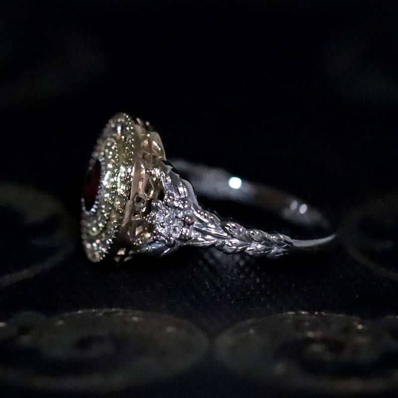 サリマー・アガ・カーン王妃 ジュエリーコレクション 写真集「Jewels」 ジュエリーコレクション 写真集「Jewels」 サリマー・アガ・カーン王妃