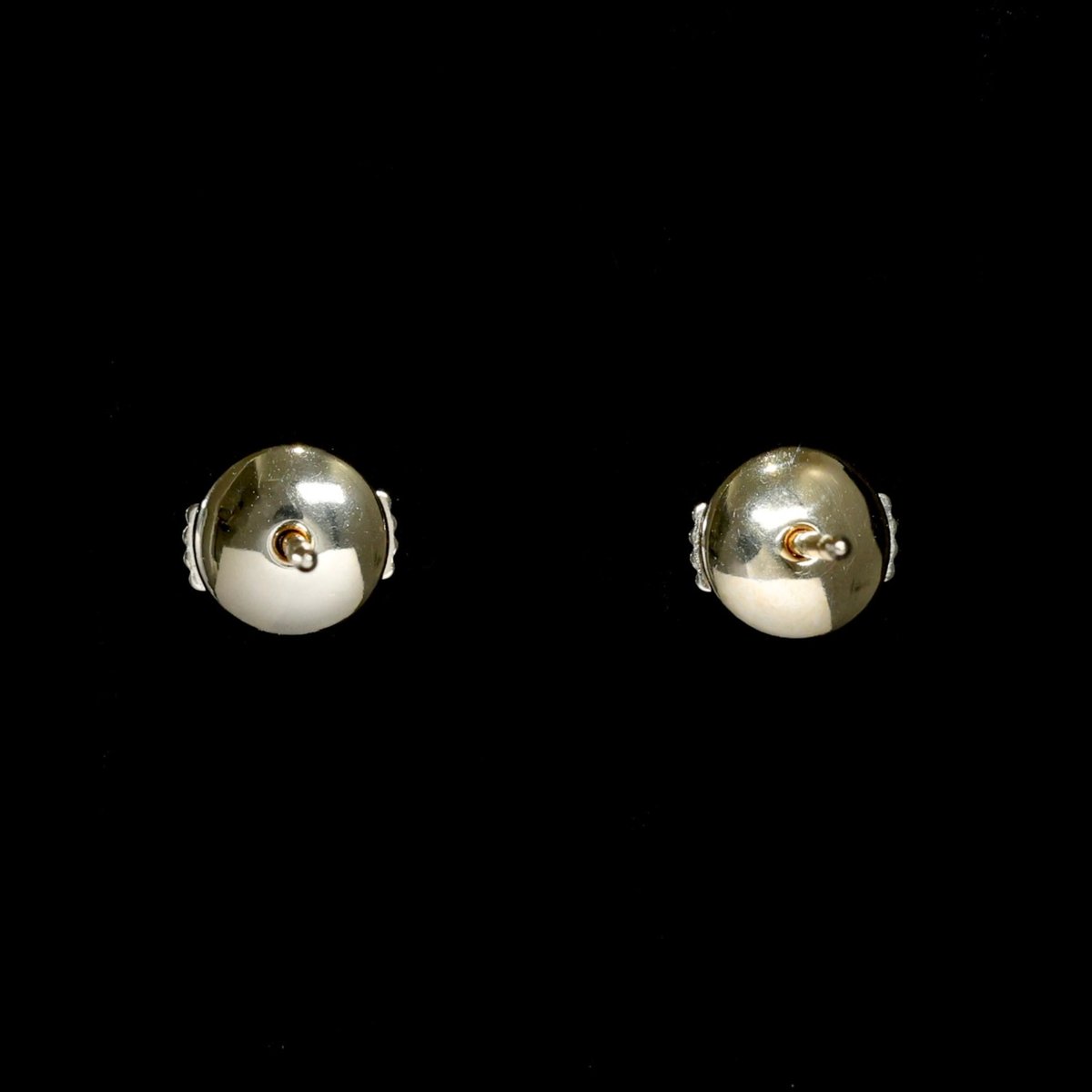 ひめページ 自分の気持ちにふたをしないで！子どもたちの心に寄り添う絵本