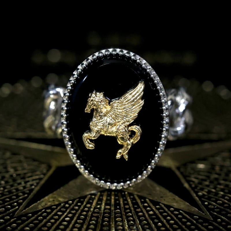 Chaîne Pégase K18YG+PT ブラックオニキス | Mayuranoir