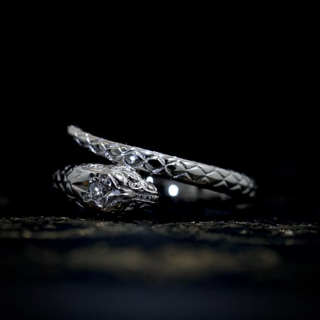 Zoé Étoile 〈K18YG.PT〉銀座店/オンライン限定
