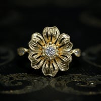 Dentelle Églantine ダイヤモンド