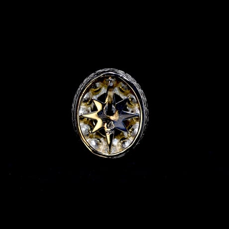 Grand Mélisande earring K18YGブラックオニキス