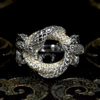 Zoé lune 月K18YG,ヘビPT  ダイヤモンド