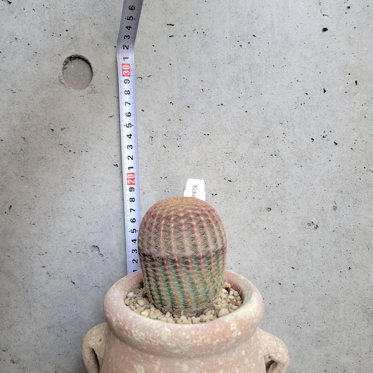 fit=scale-down,w=1200