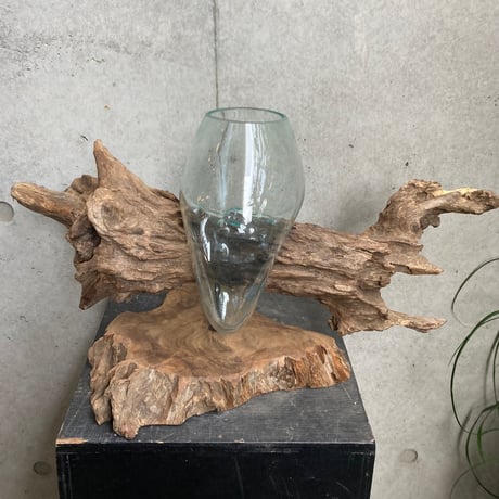 driftwood ×glass （流木とガラスベース）