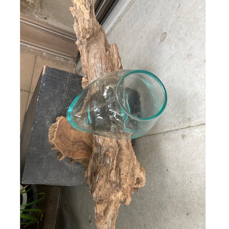 driftwood ×glass （流木とガラスベース）
