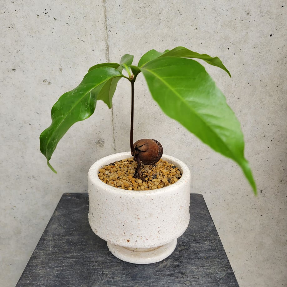 6402e41adb33f631f1daaa08