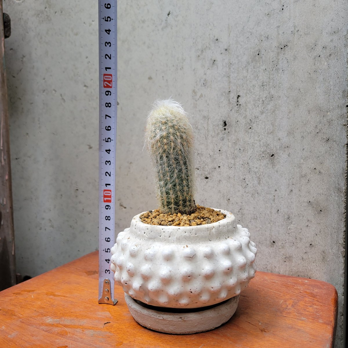 □即決□ 久徳正 60cm 明治~大正 抱き人形 在印 □ 市松人形 □即決□ 久徳正 60cm 明治~大正 抱き人形 在印 □ 市松人形