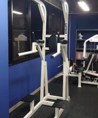 FLEXフィットネス　USA製　チンニング&ディップスタンド　白　中古