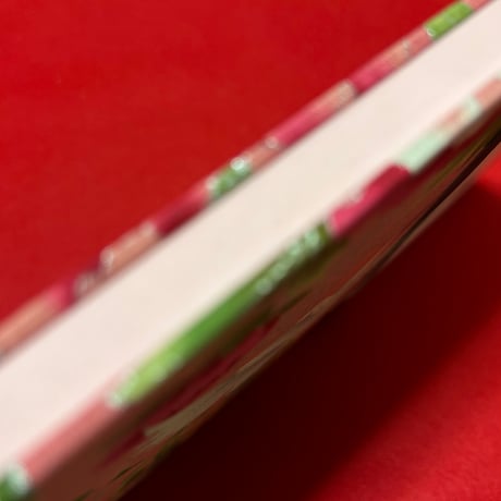 B5見開き御朱印帳  24山　ピンク和紙   neneバンド付