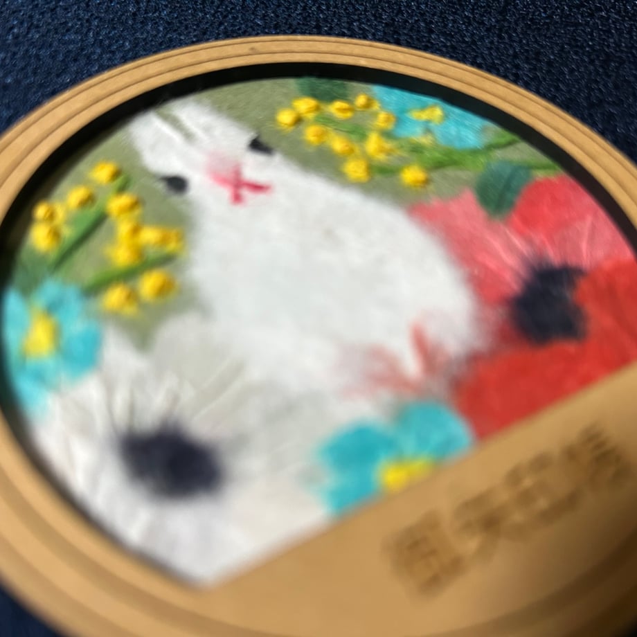 674b0bd0e3519035b0c0c8e7