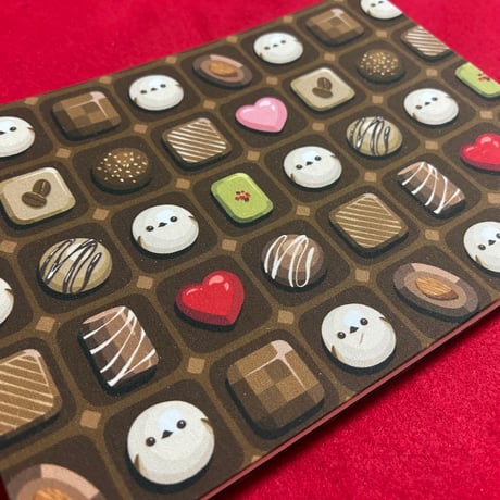 シマエナガチョコレート　B5見開き御朱印帳   24山　きなり和紙　 バンド付き