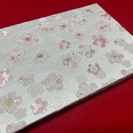 【🔴予約販売🔴】B5見開き御朱印帳  24山　nene バンド付き