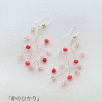 1月限定販売 ✺ 命のひかり ✺
