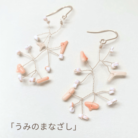 8月限定販売✺うみのまなざし✺