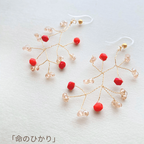 1月限定販売 ✺ 命のひかり ✺