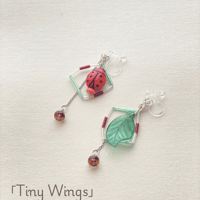 5月限定販売✺ Tiny Wings ✺
