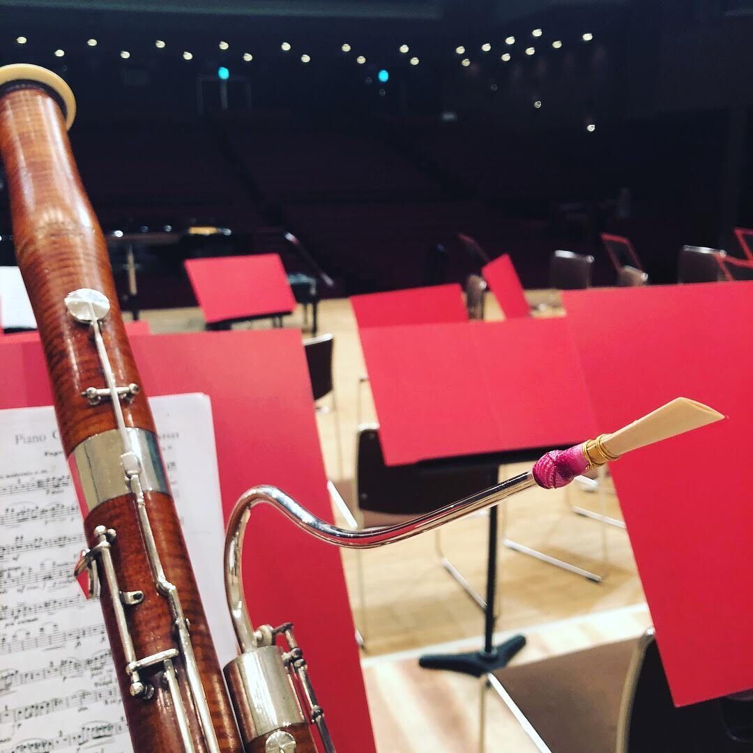 ジュエルリードRB(保証付き) | ファゴット用品と楽譜の店 JEWEL REED