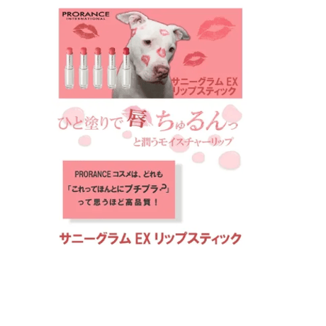 ✧サニーグラムEXリップスティック✧ ＃109 【Nude pink】
