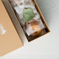 bion小さなお菓子box