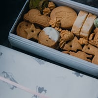 Bionクリスマスクッキー缶　小