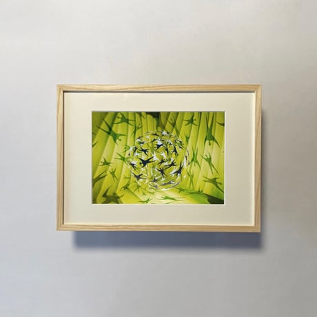 Atsushigraph「Fresh Green Gathering」ジークレー版画 (額装版) Preorder