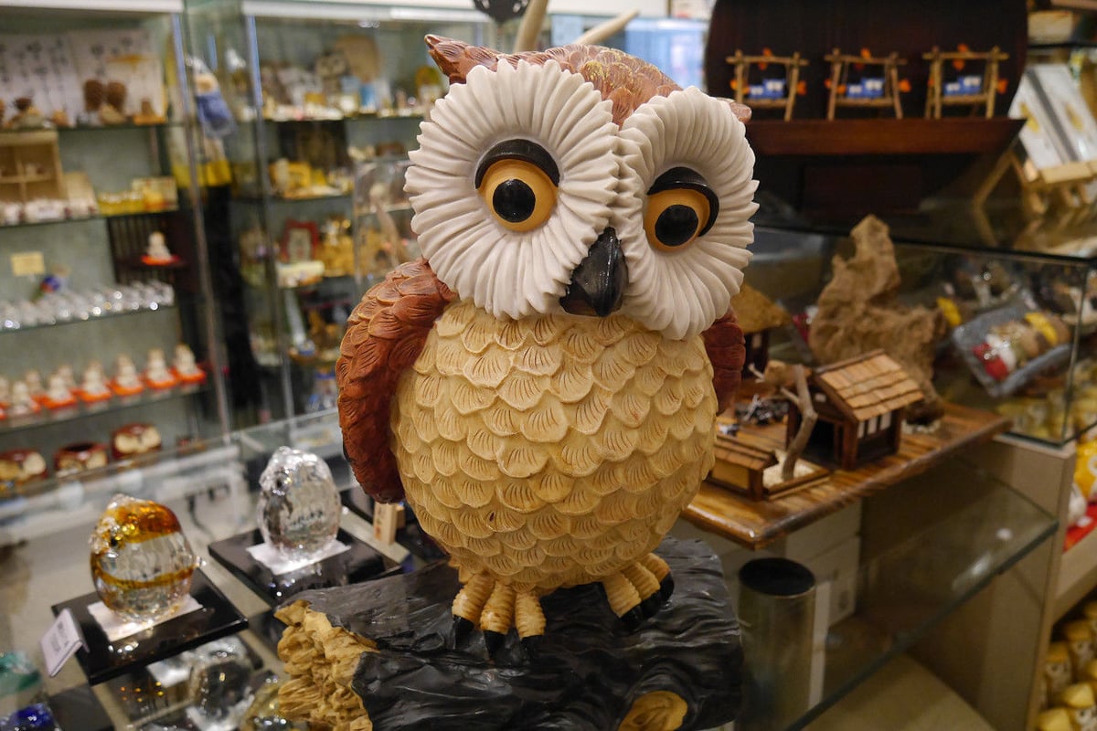 茶色いブラウン しぇふ染め×かけるり 土身フクロウ 茶色いブラウン しぇふ染め×かけるり 土身フクロウ
