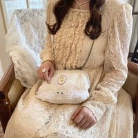 Lace cameo clasp bag