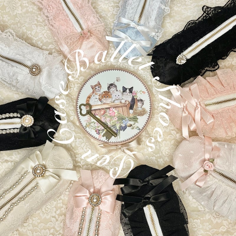 Ballet shoes pen case (No,3) | Chape.