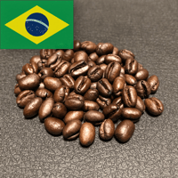 Brazil - Peaberry（ブラジル  ピーベリー）