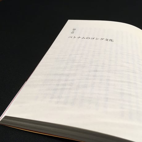 柳沢英輔『ベトナムの大地にゴングが響く』