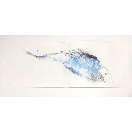 【CD】岩田茉莉江＋柳沢英輔『うみなりとなり Uminari Tonari――沖縄 南大東島の音 Soundscape of Minamidaito Island』〈よろずや灯光舎〉