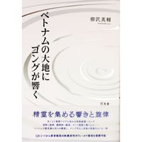 柳沢英輔『ベトナムの大地にゴングが響く』