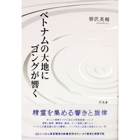 柳沢英輔『ベトナムの大地にゴングが響く』