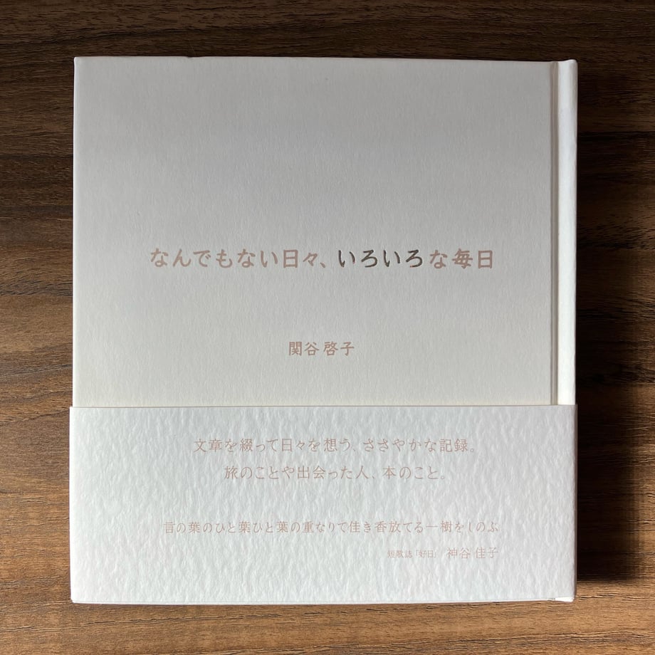 63953afa14313b10019e309f