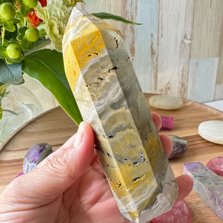 バンブルビージャスパー | STORES