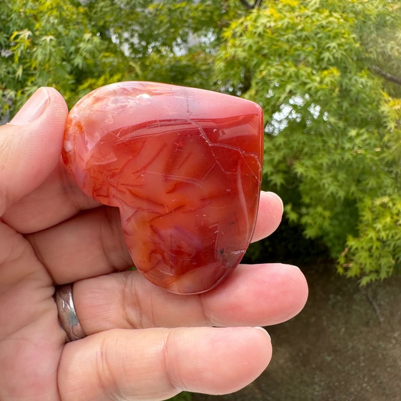 エールを送る石カーネリアン＆桜瑪瑙 前に進むあなたへ | Studio