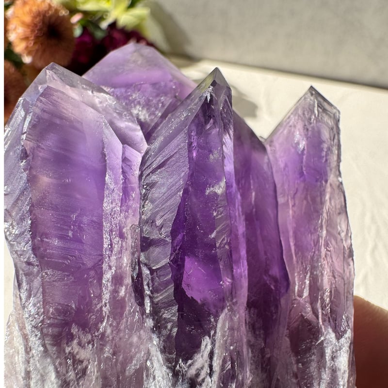 ✨ アメジスト ドラゴントゥース - 龍の牙が開く運命の扉 ✨ | Studio