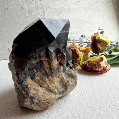 揺るがぬ芯を抱く黒結晶　－　コンゴ産モリオン