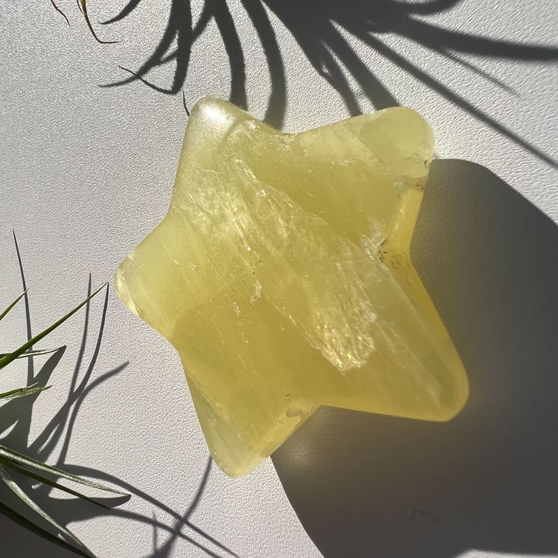 イエローカルサイトのお星さま🌟① | Studio Kururi